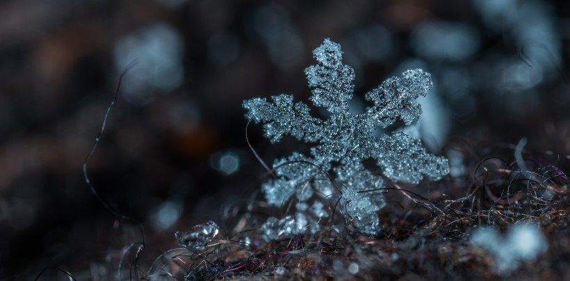 顯微鏡拍攝的雪花圖片