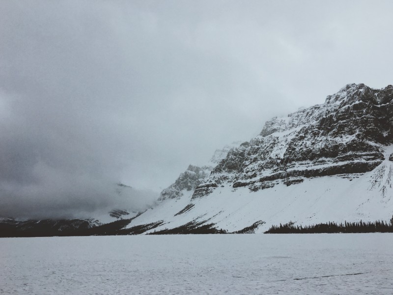 堆滿樹枝的白雪圖片