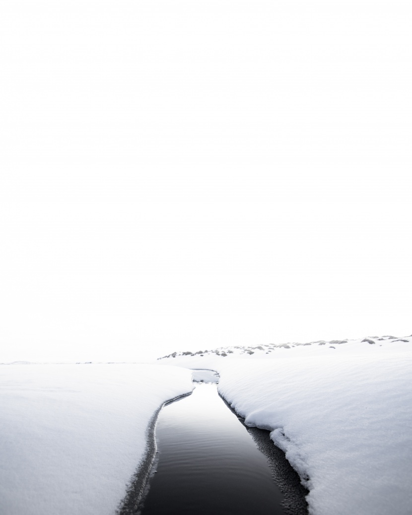 堆滿樹枝的白雪圖片