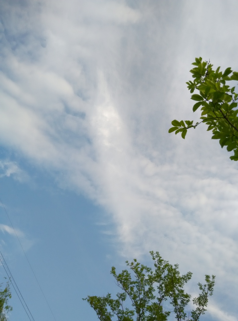 天空中飄動的白雲圖片