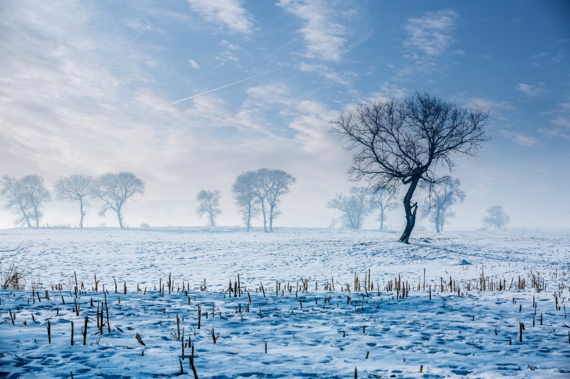 冰天雪地的自然風景圖片