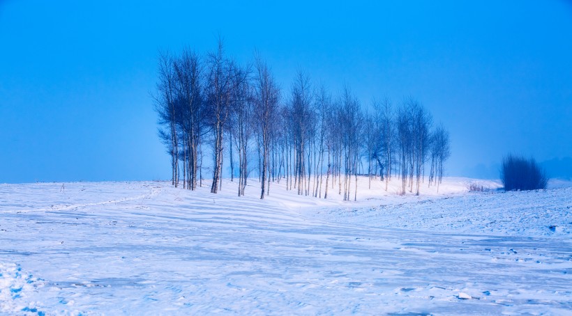 冰天雪地的自然風景圖片