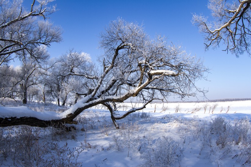 高山冬季冰雪風景圖片