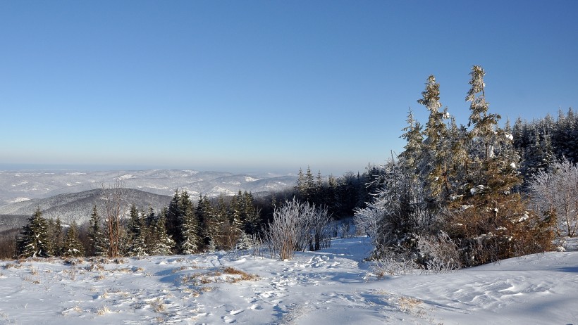 唯美冰雪風景圖片