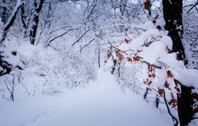 唯美冰雪風景圖片