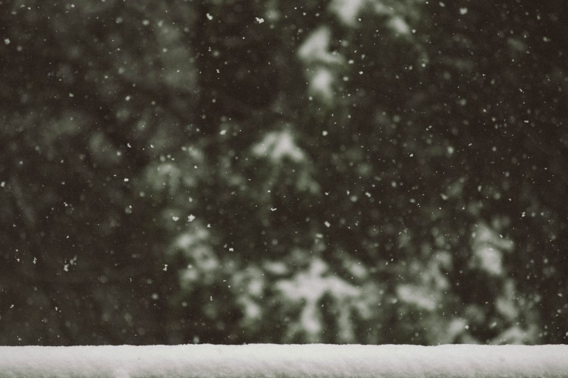 冬天下雪時的美景圖片