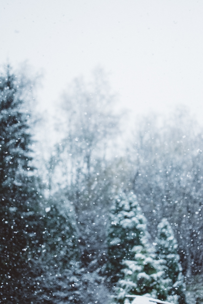 冬天下雪時的美景圖片