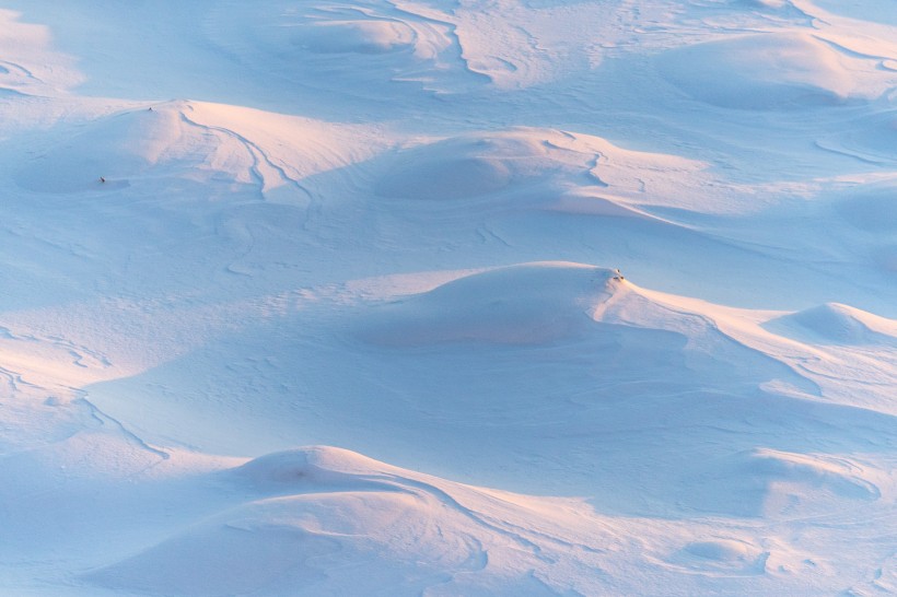 冬天的雪景圖片