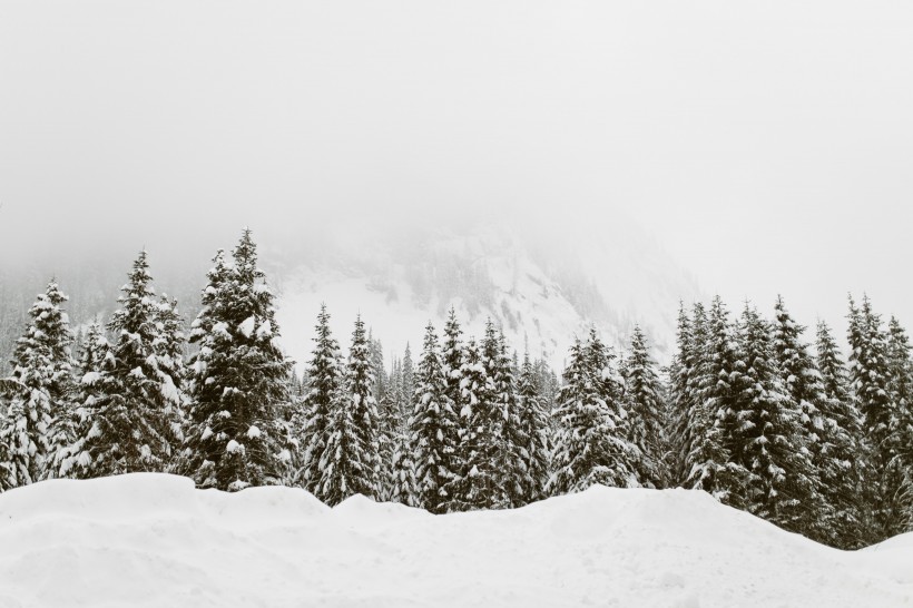 冬天的雪景圖片