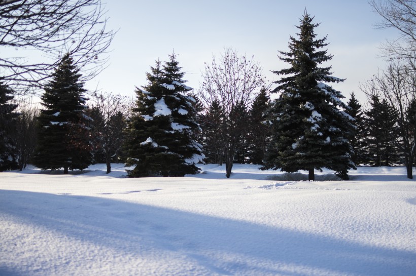 冬天的雪景圖片