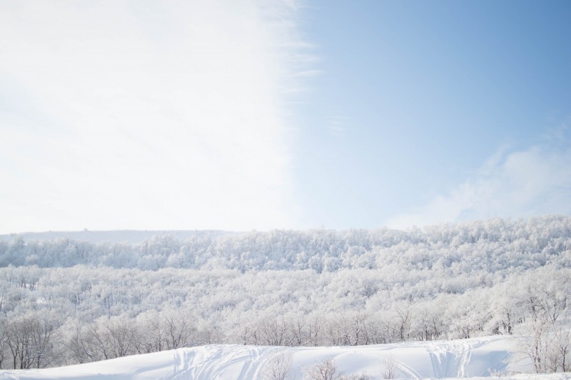 冬天的雪景圖片