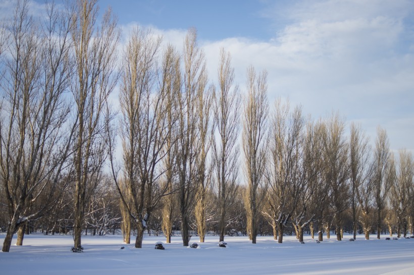 冬天的雪景圖片