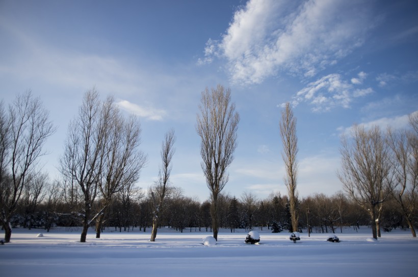 美麗的雪景圖片