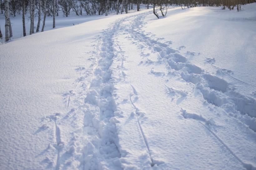 美麗的雪景圖片