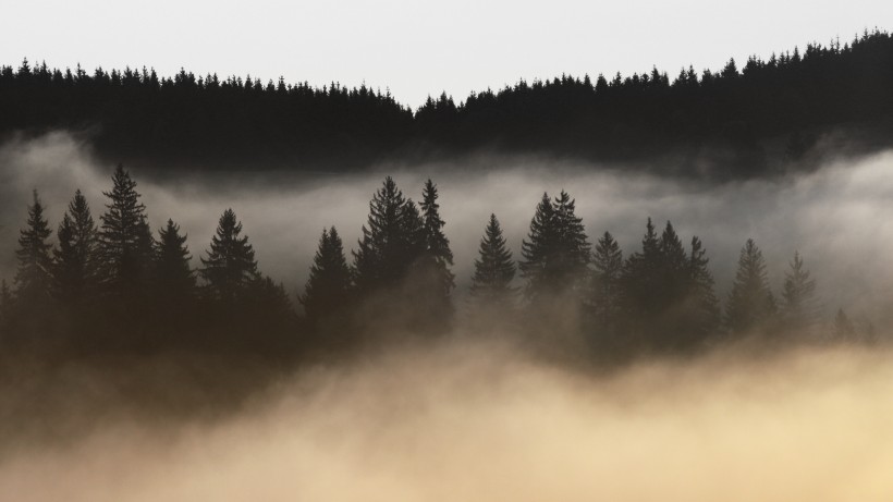 濃霧彌漫的景色圖片