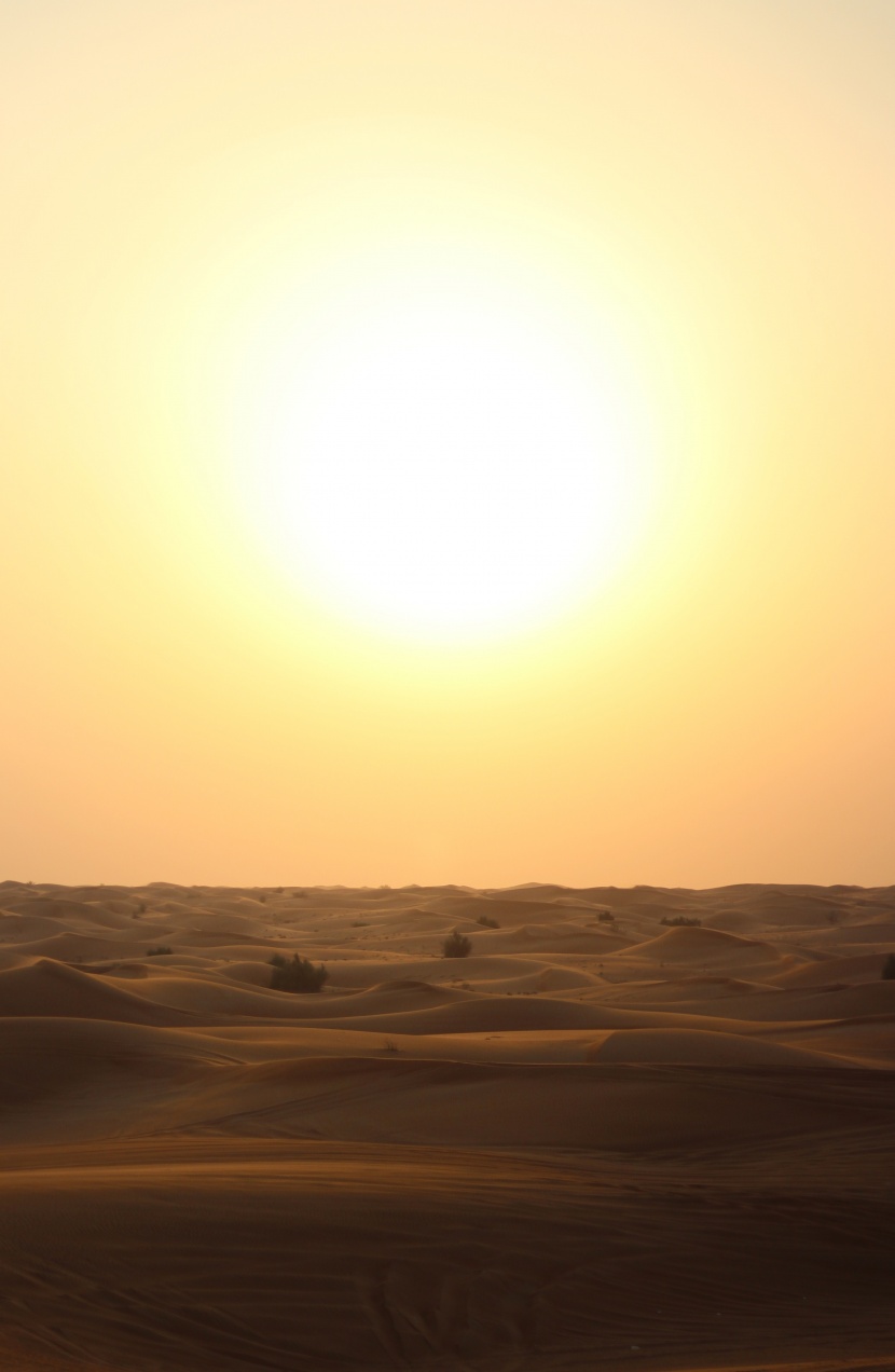 廣闊的沙漠風景圖片
