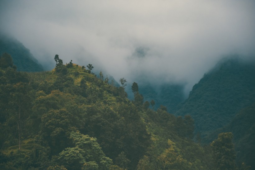 山間的霧圖片