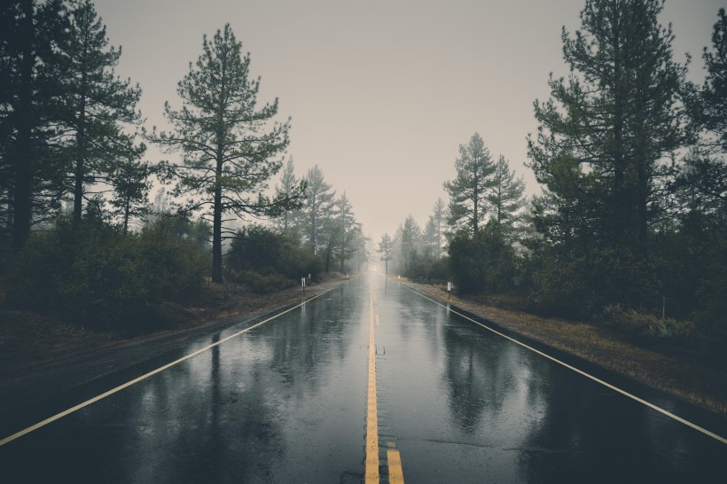 唯美的下雨天的圖片