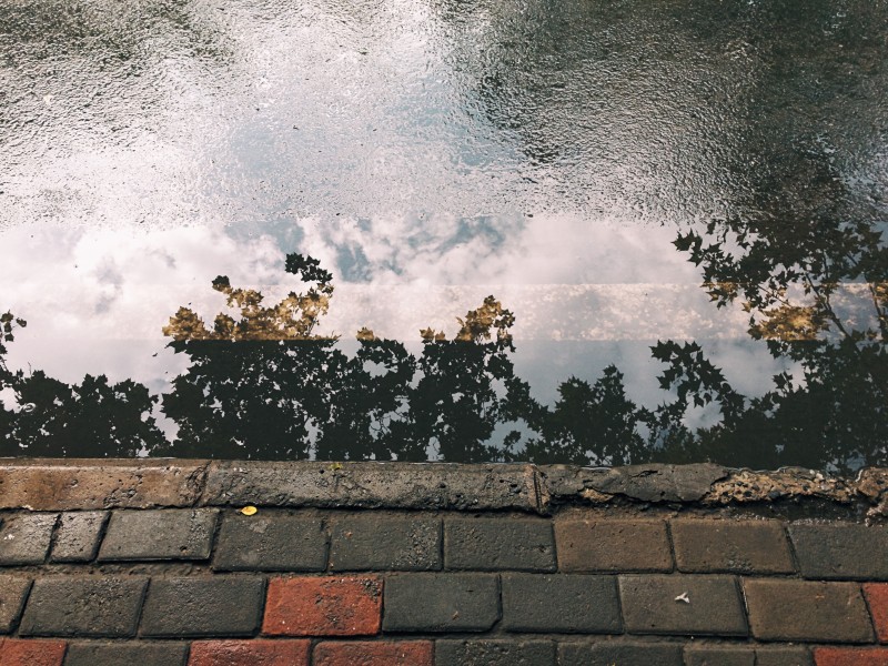 唯美的下雨天的圖片