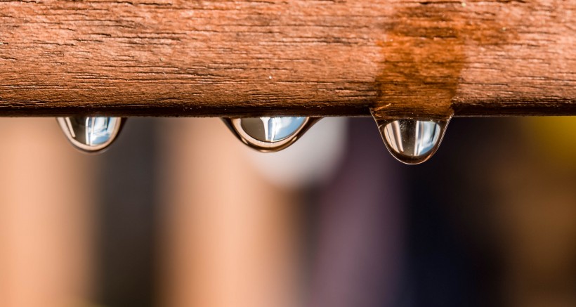 下雨天的雨滴圖片