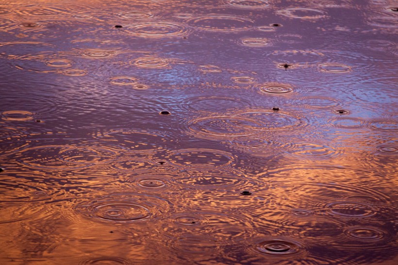 下雨天的雨滴圖片