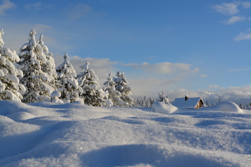 白雪皚皚的美景圖片