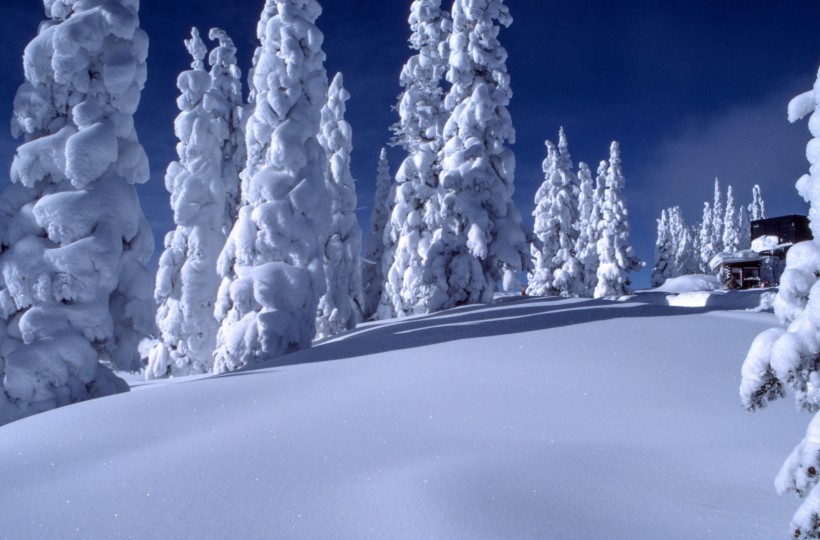 白雪皚皚的美景圖片