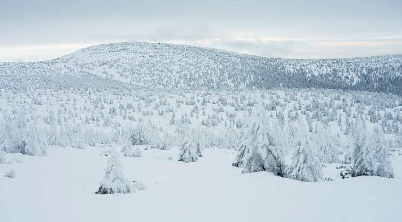 白雪皚皚的美景圖片