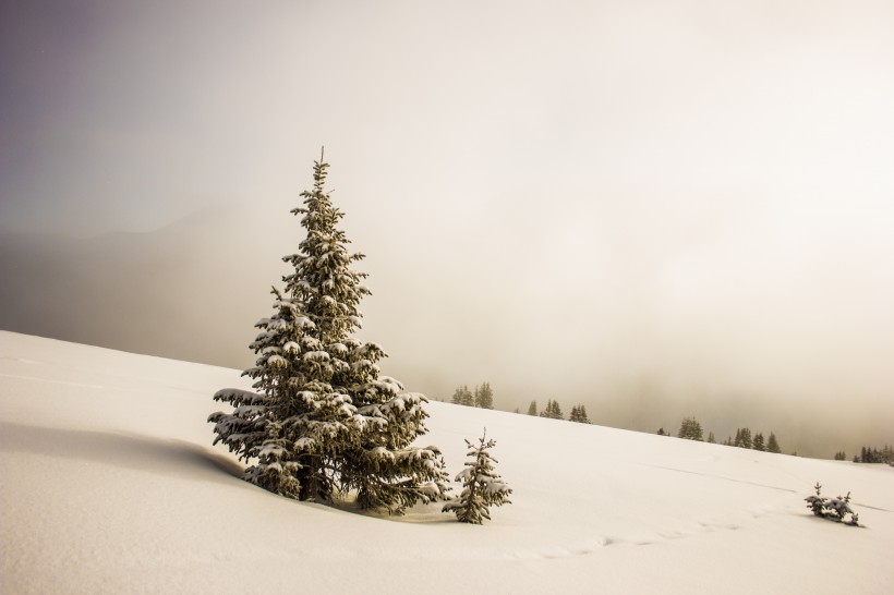 白雪皚皚的美景圖片