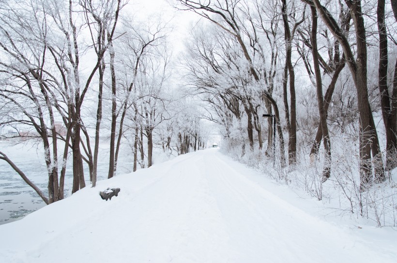白雪皚皚的美景圖片