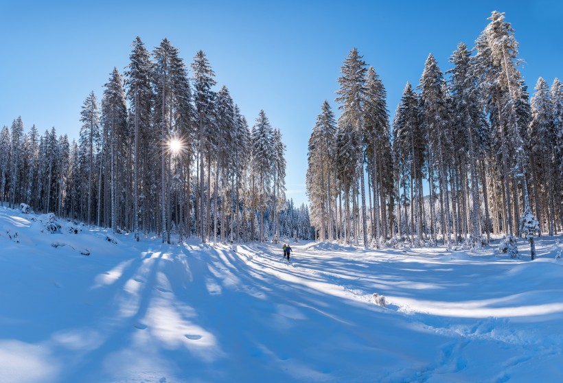 郊外的美麗雪景圖片