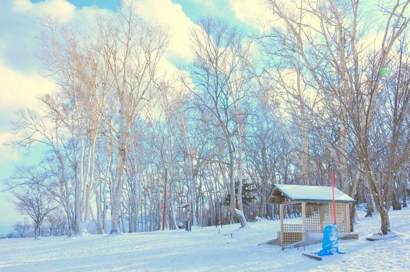郊外的美麗雪景圖片