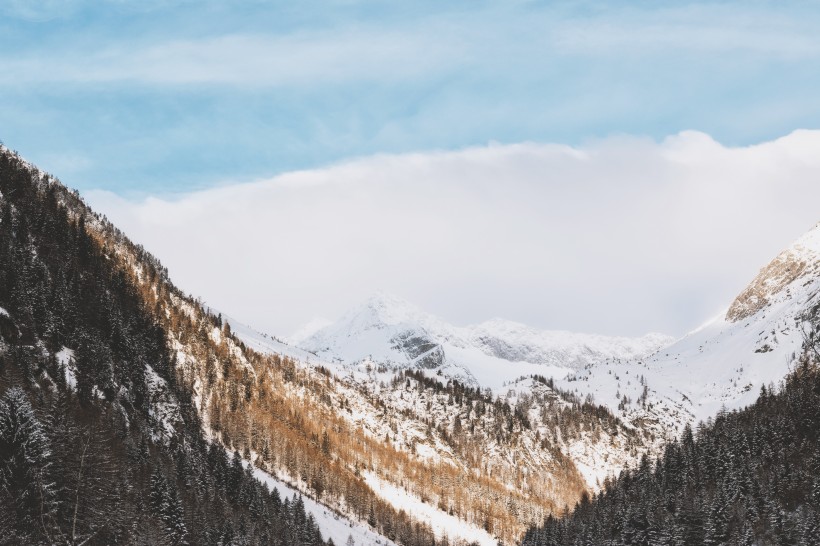 郊外的美麗雪景圖片