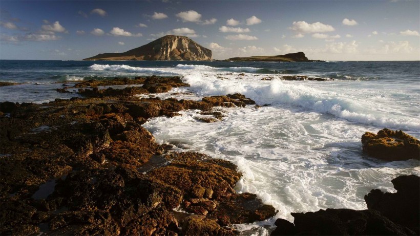 大海海浪浪花圖片