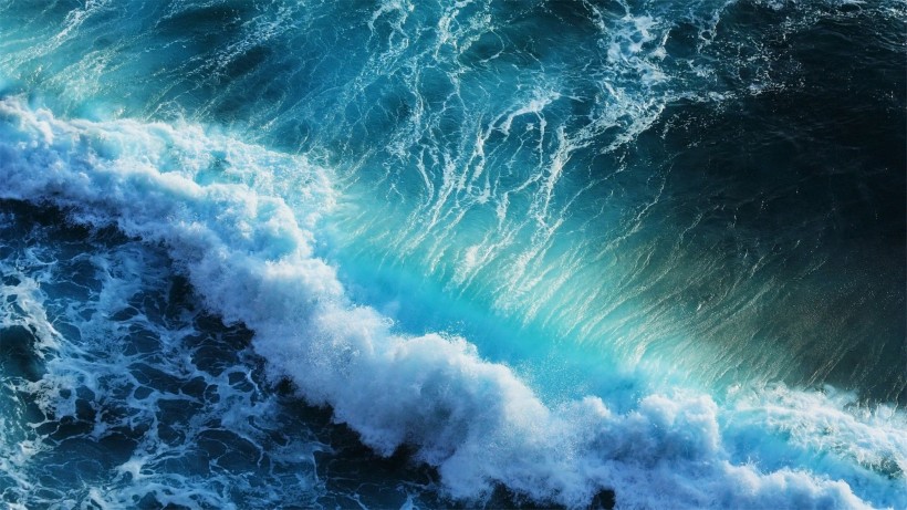 大海海浪浪花圖片