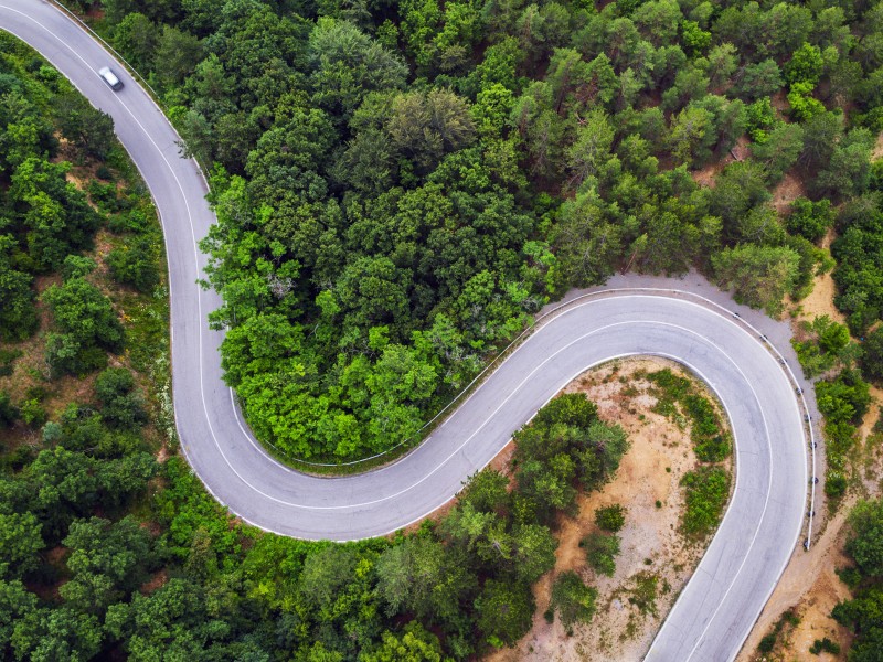 道路兩旁的風景圖片