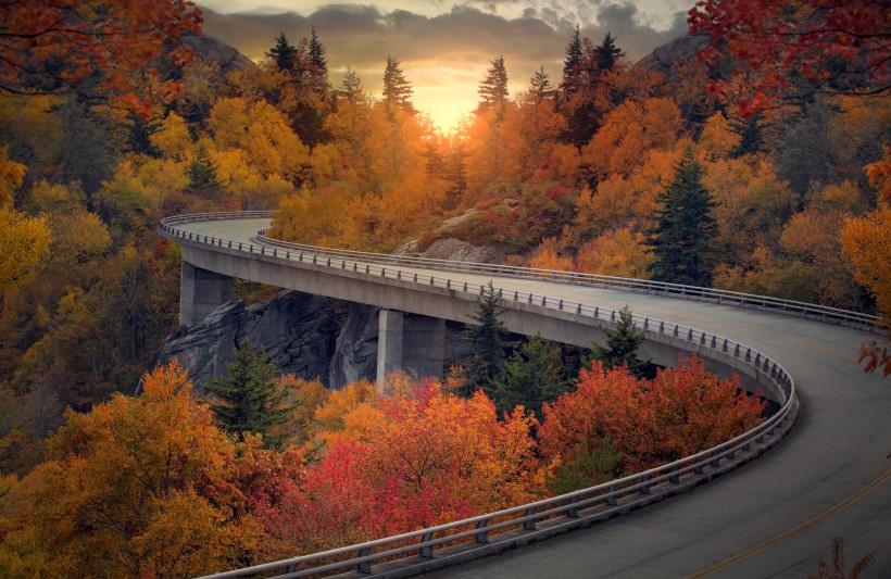 道路兩旁的風景圖片