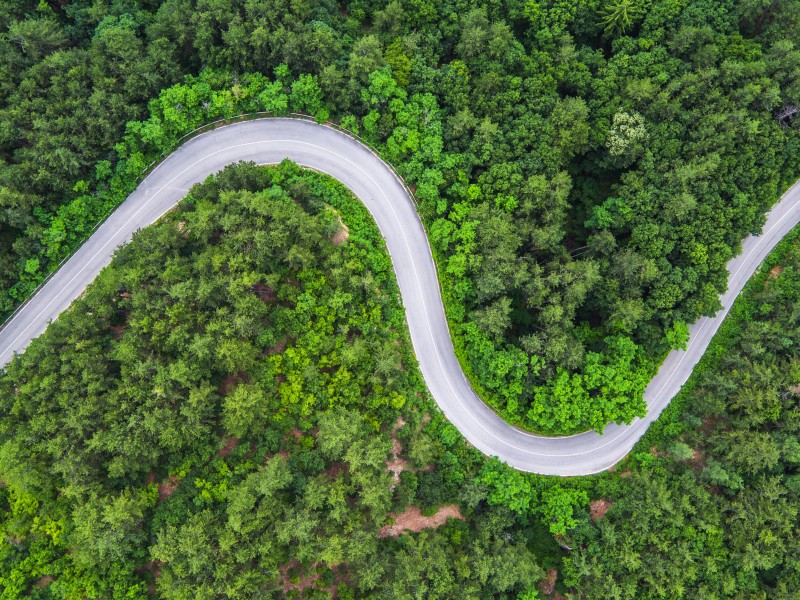道路兩旁的風景圖片