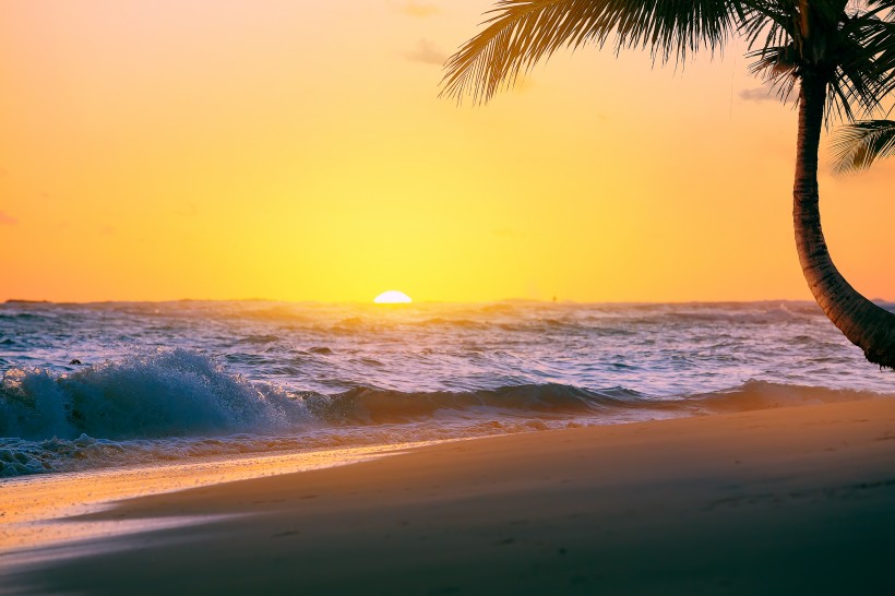 海灘椰樹風景圖片