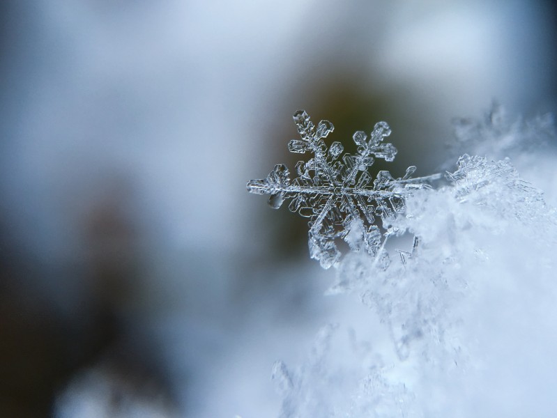皎潔的雪花圖片