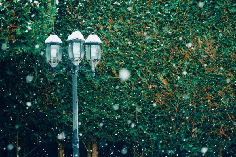 皎潔的雪花圖片