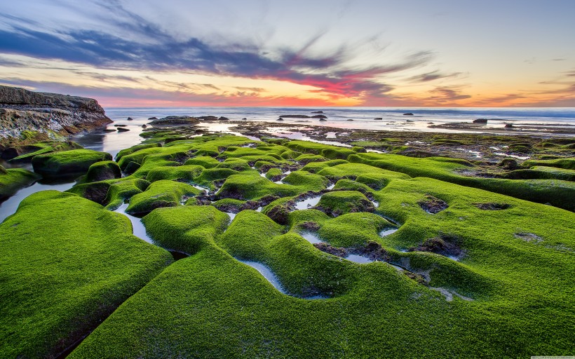 美麗的夕陽海景圖片