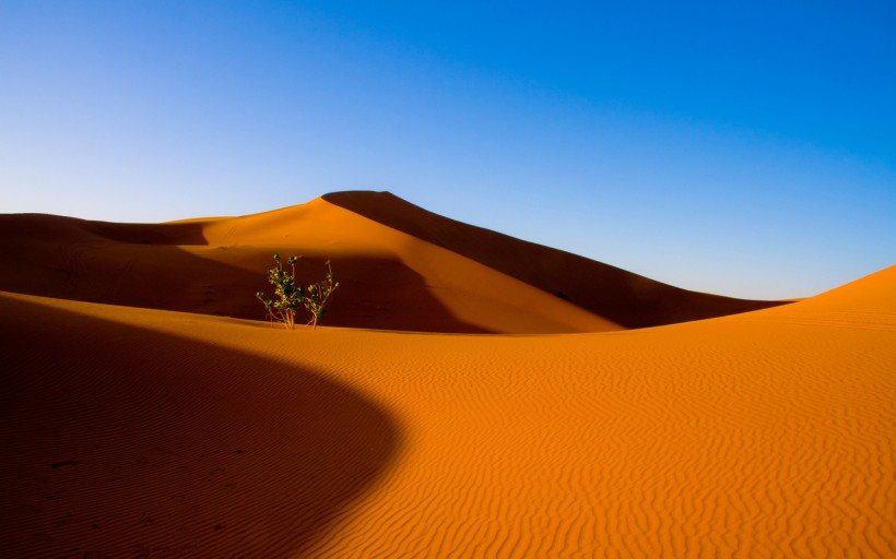 廣闊無垠的沙漠的圖片