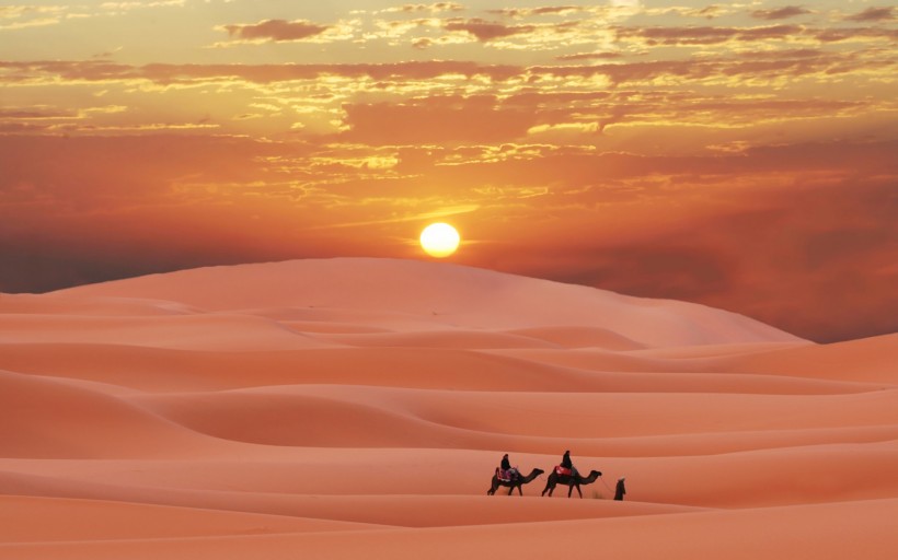 廣闊無垠的沙漠的圖片
