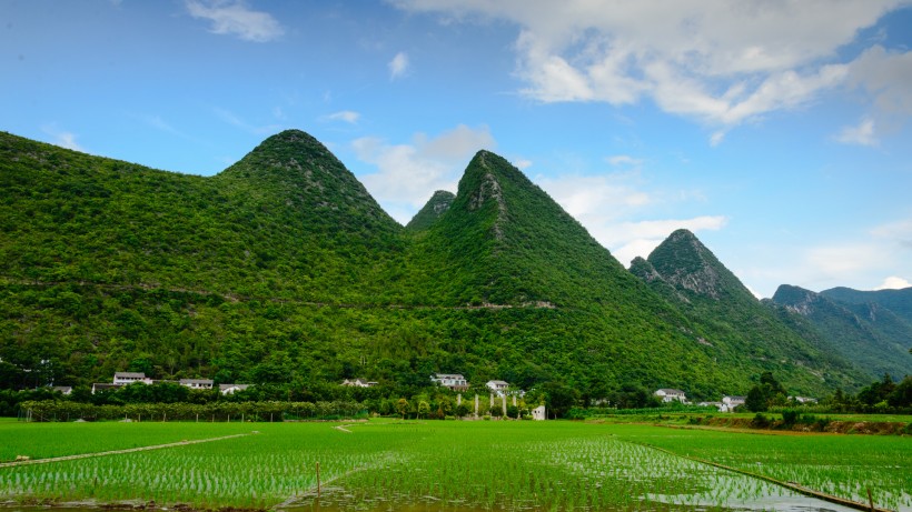 田園風景圖片