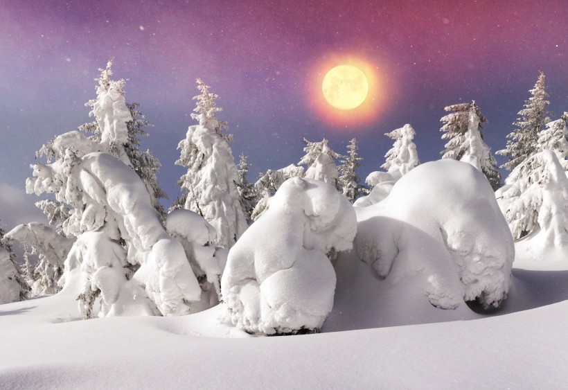 雪林風景圖片