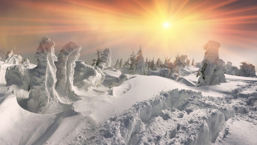 雪林風景圖片