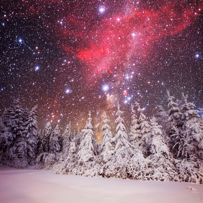 雪林風景圖片