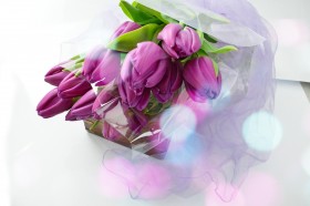 <a href=https://www.meiriqutu.com/tag/huaduo2.html target=_blank class=infotextkey><a href=https://www.meiriqutu.com/tag/7605.html target=_blank class=infotextkey>花朵</a></a>豔麗的<a href=https://www.meiriqutu.com/tag/7614.html target=_blank class=infotextkey>郁金香</a>圖片