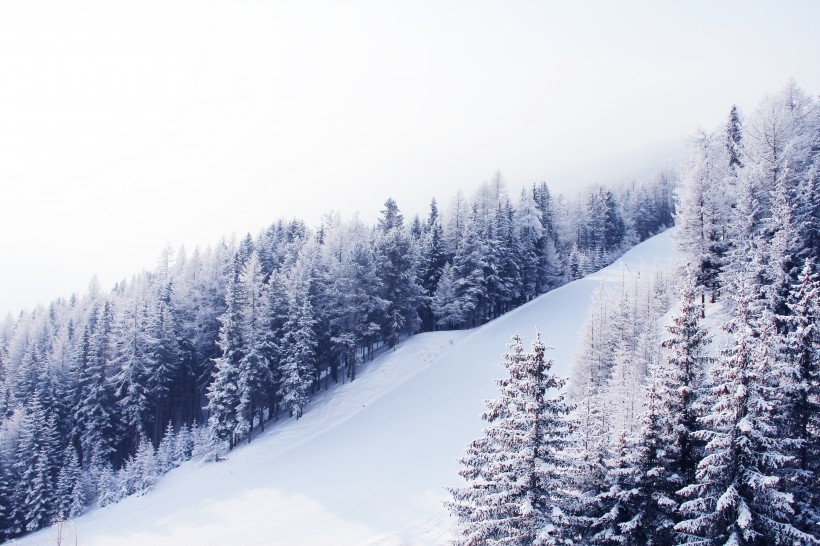 自然雪景風景圖片